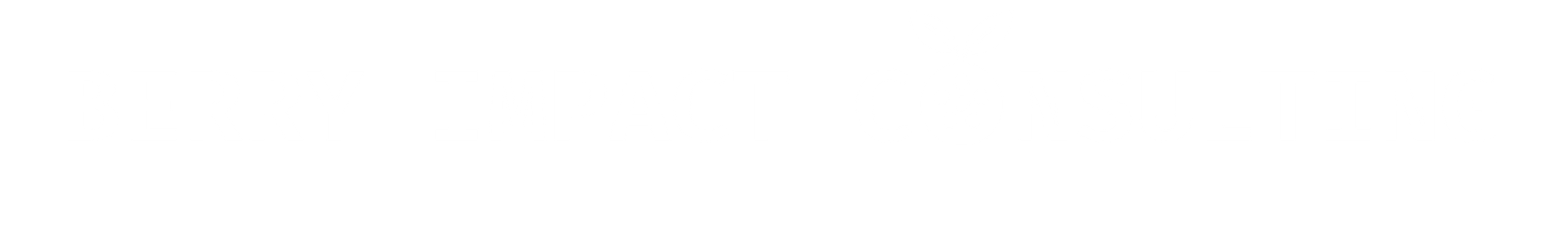 BERRY IMPACT CONSULTING