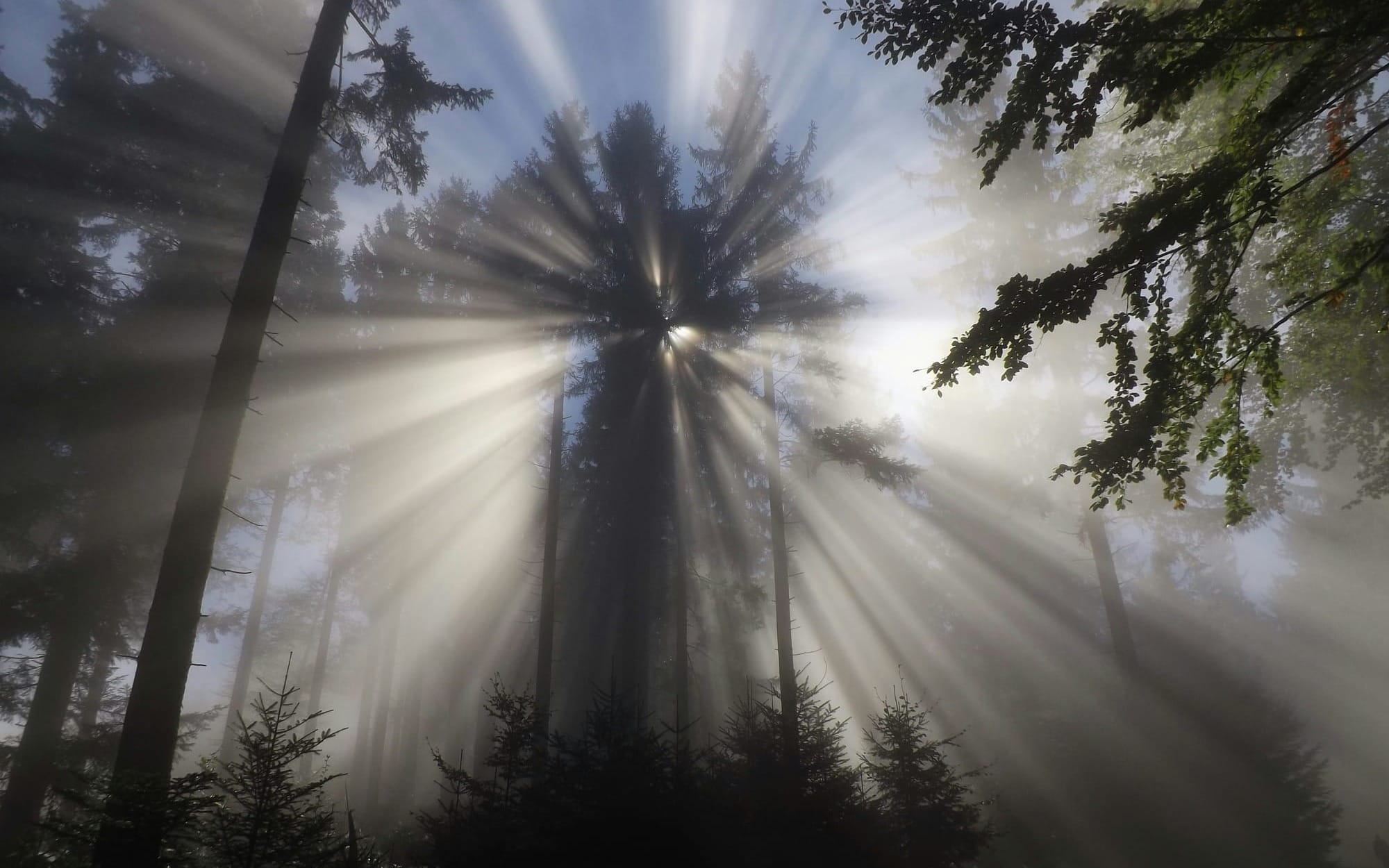 Opportunities to Transform Your Business Relationship to People and Planet