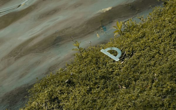 How Impact Measurement Can Transform Business Strategy